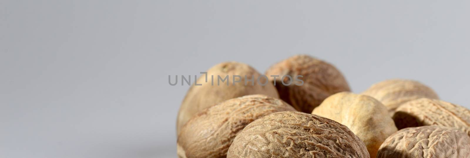 Close up of Nutmeg on a gray background