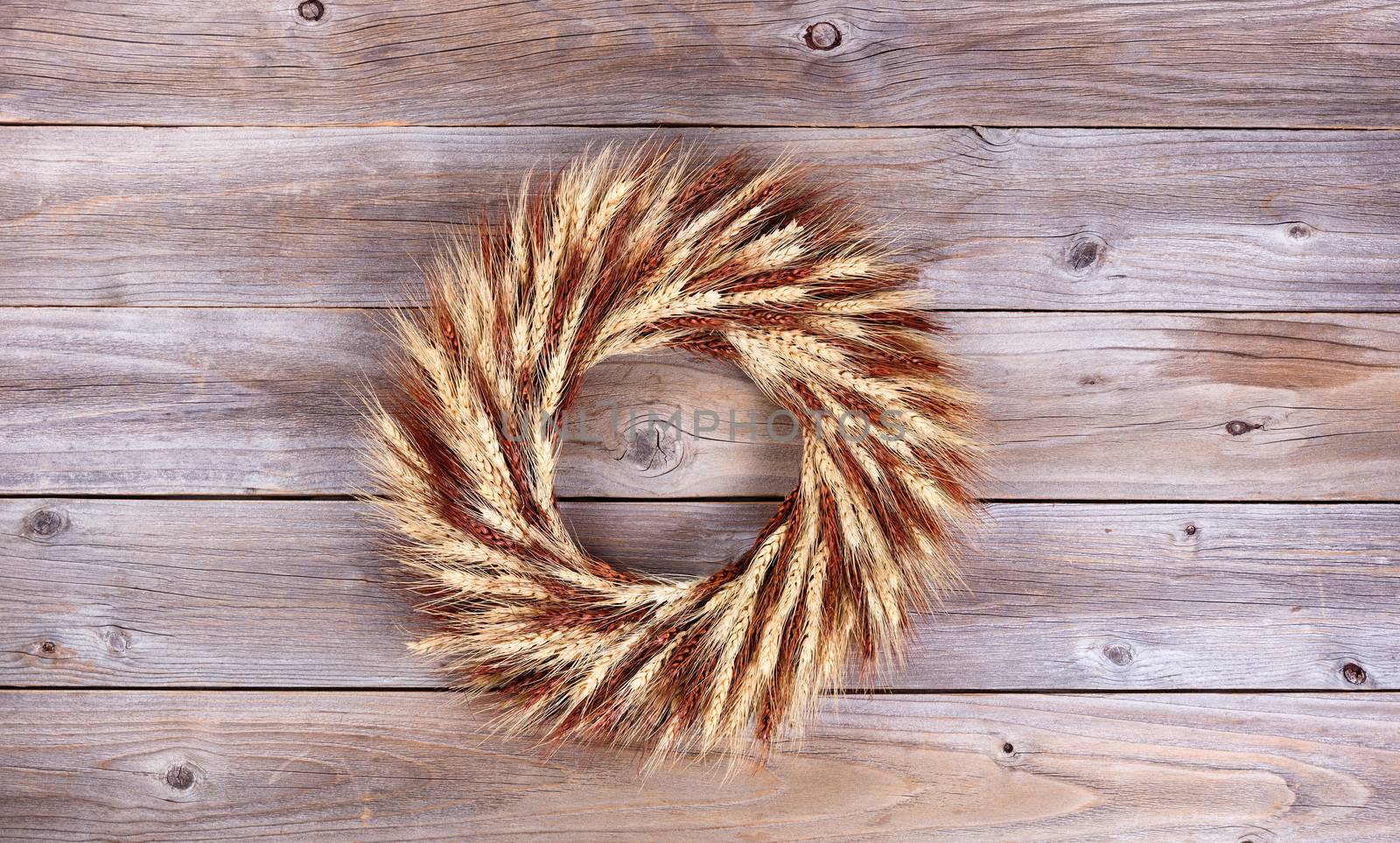 Dried wheat stalk wreath on rustic wooden boards by tab1962