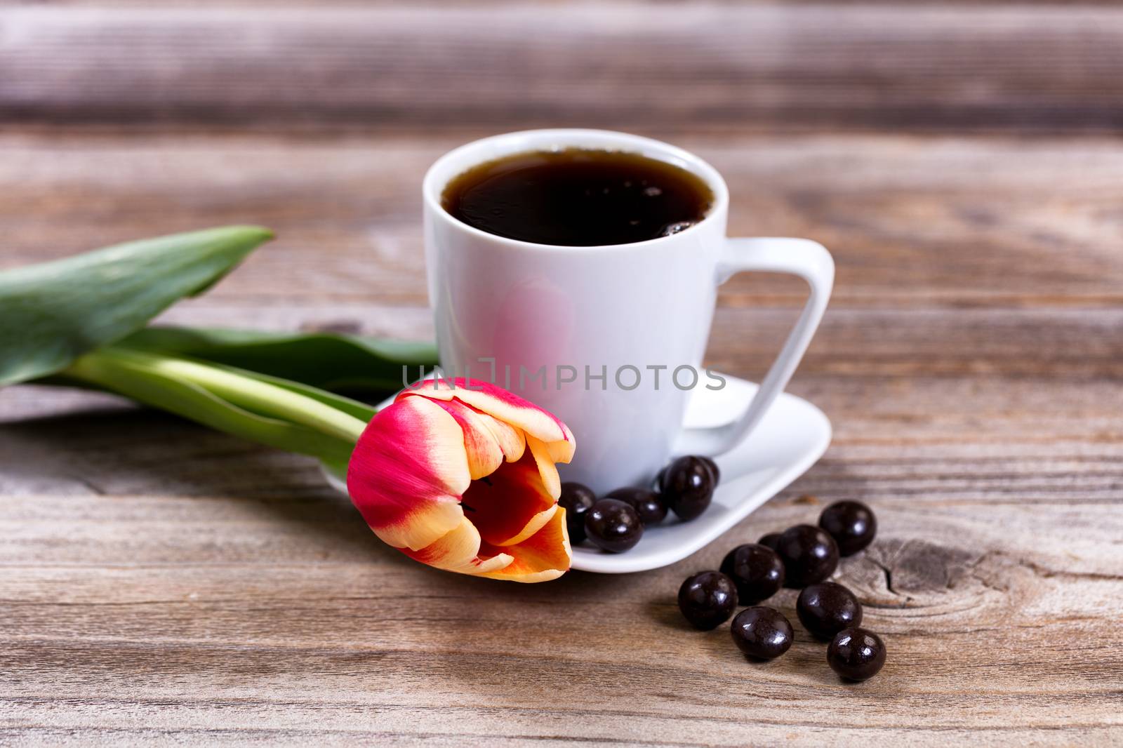 Freshly cut tulip with coffee and chocolate on stressed wood  by tab1962