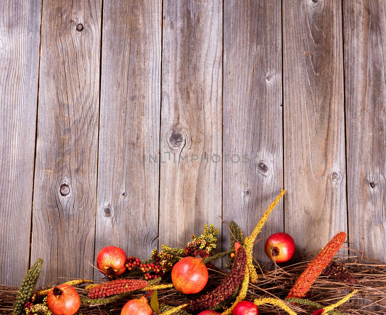 Bottom border of autumn holiday decorations on rustic wooden boa by tab1962