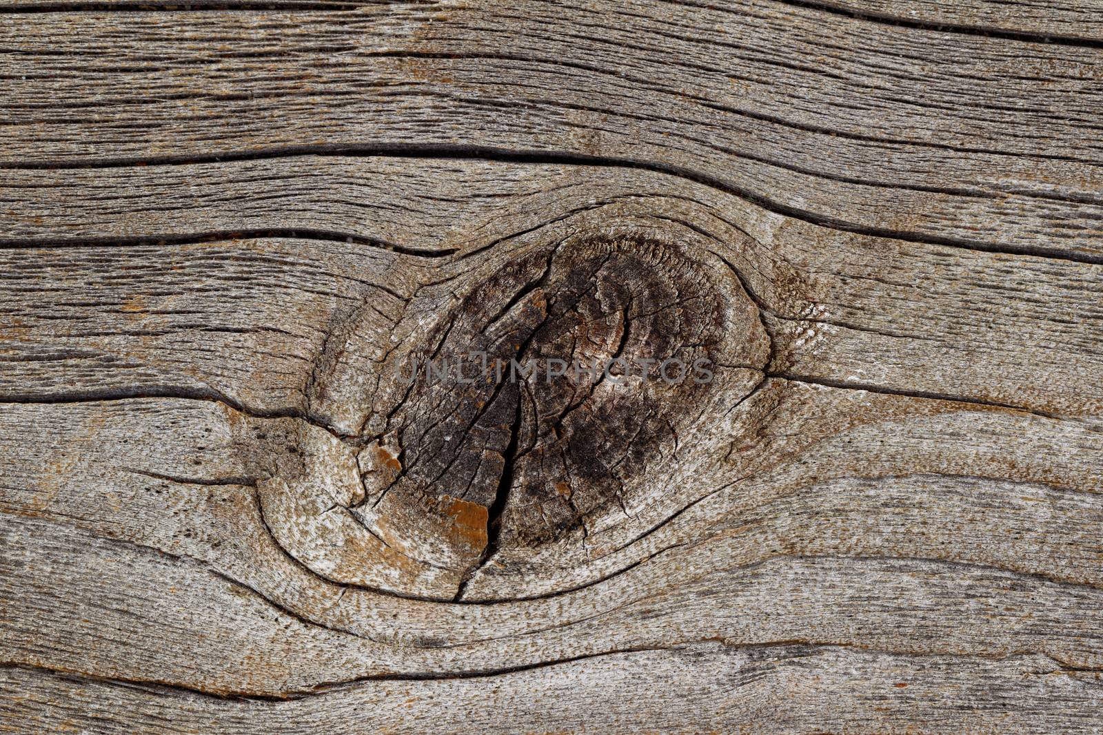 Close up of weathered wood with knot in center