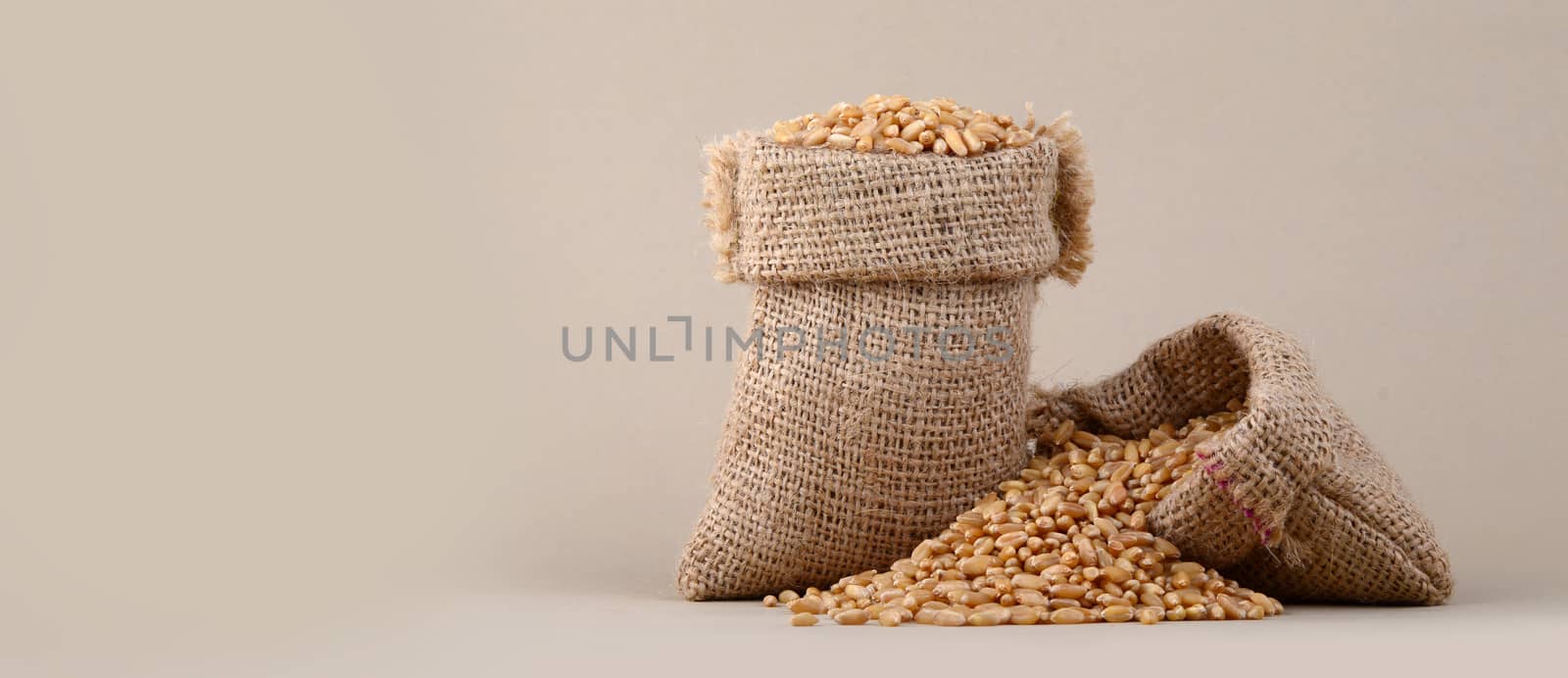 Wheat in small sack on background, Close up.