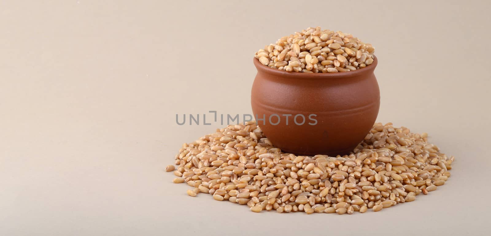 Wheat grains in clay pot on cream background. Close up.