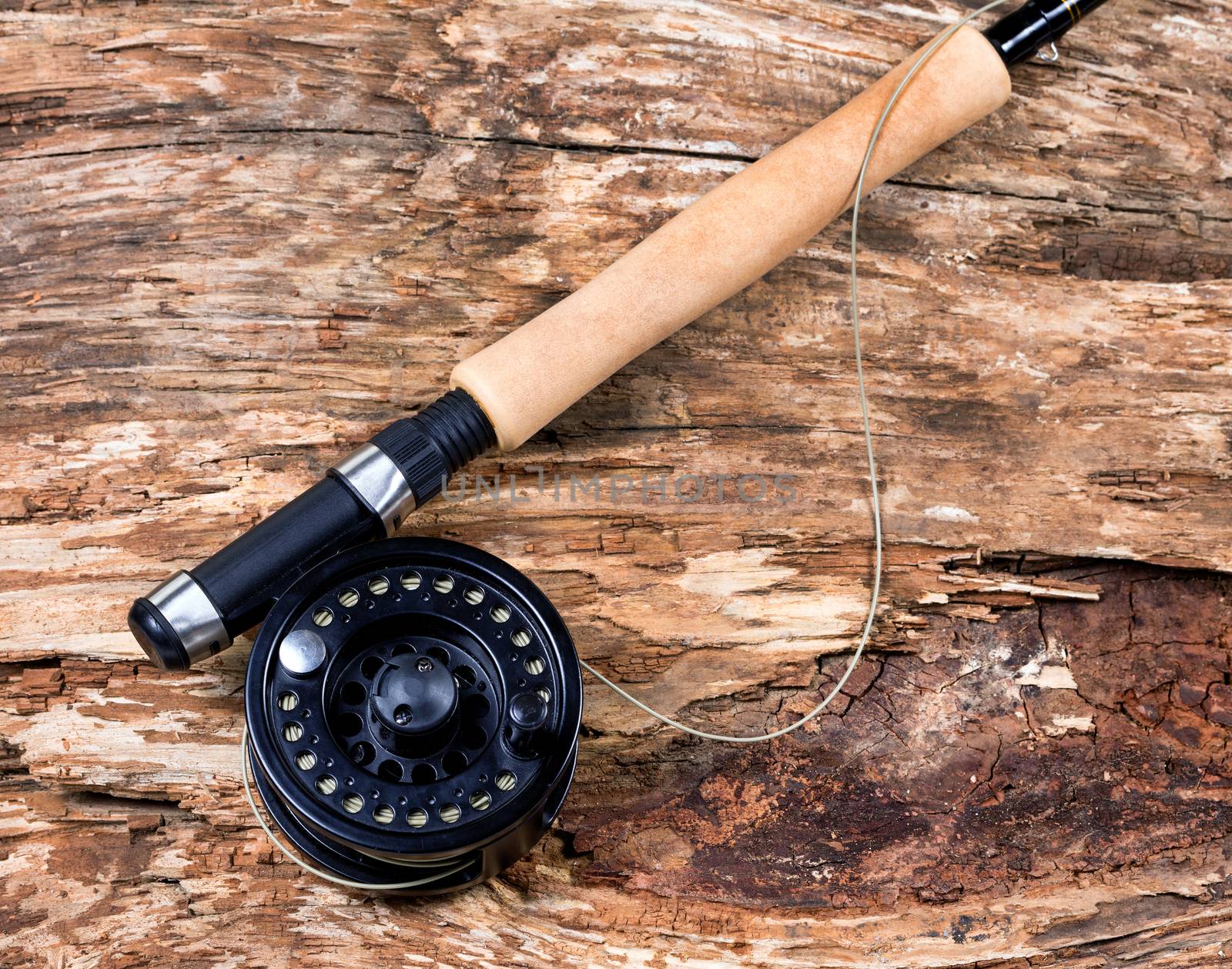 Fly fishing reel on dry old weathered tree  by tab1962
