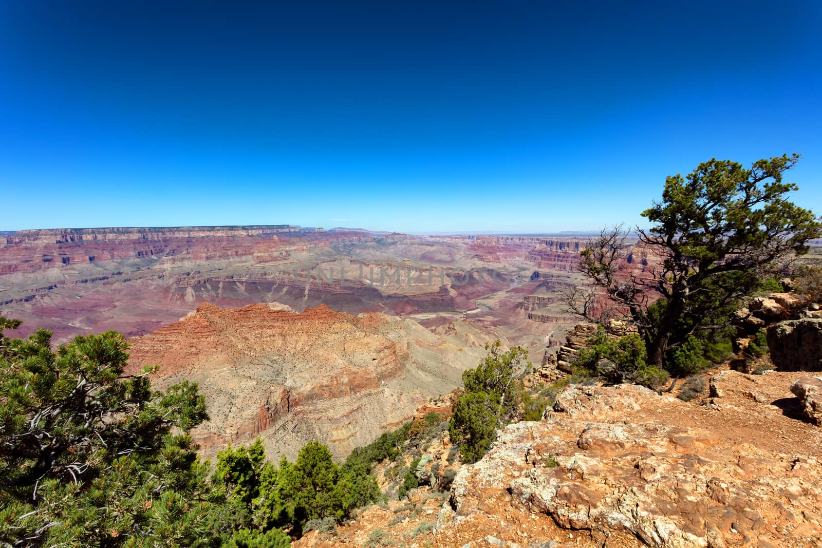 Wide view of the Grand Canyon South Rim in Arizona  by tab1962
