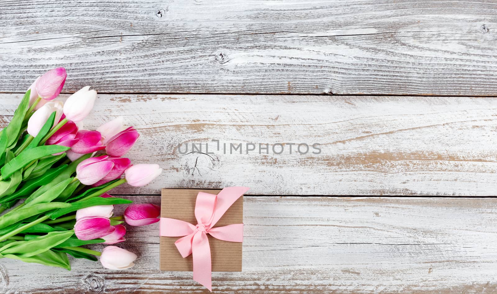 springtime pink tulips and gift box on white rustic wooden board by tab1962