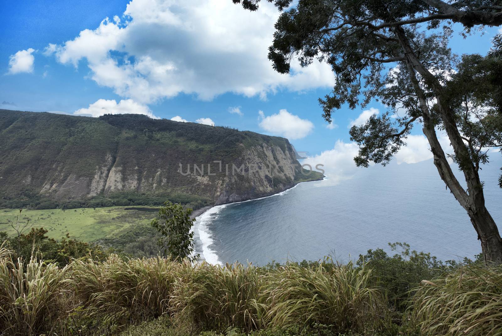 Waipio Valley lookout in Kona Hawaii of the United States  by tab1962