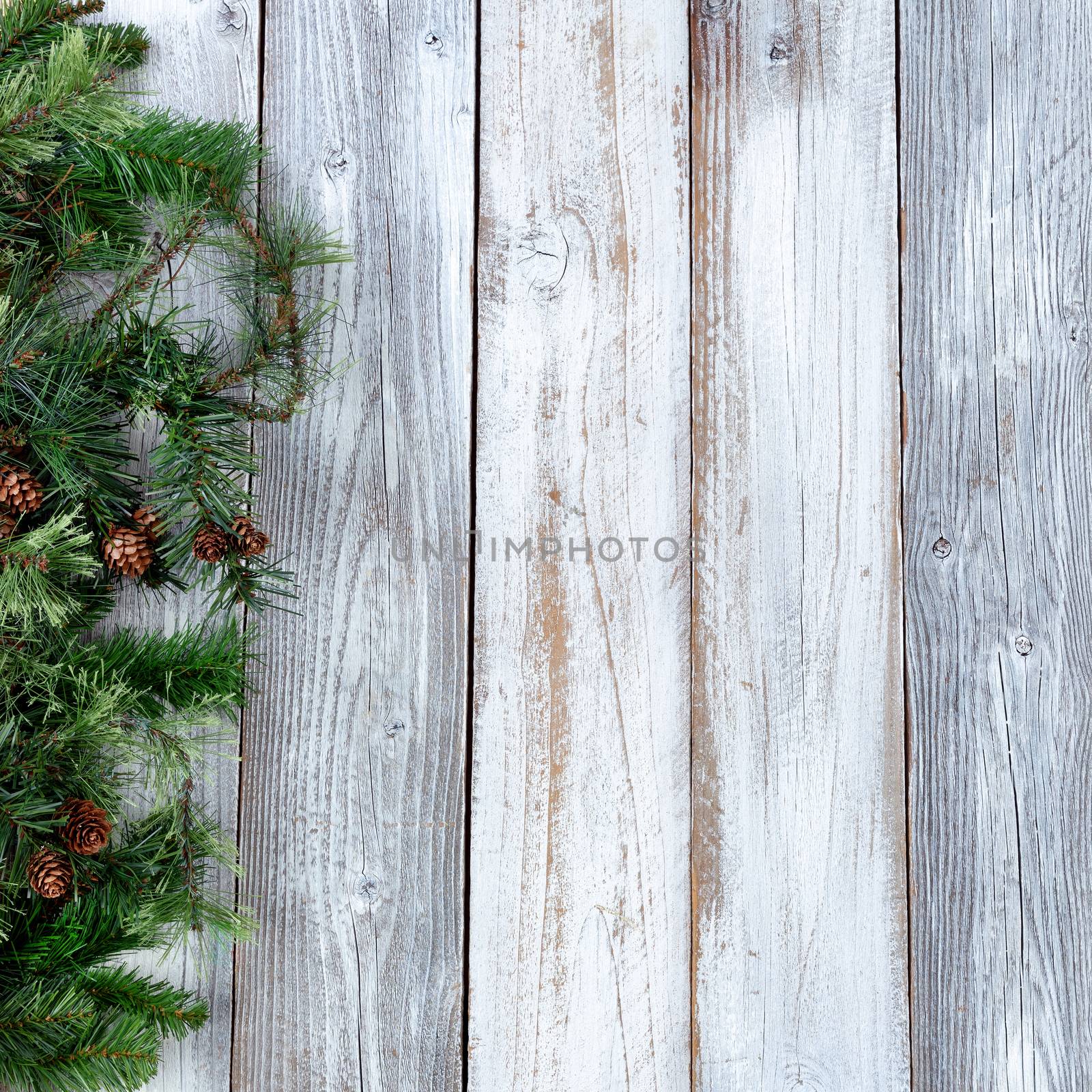 Christmas background with evergreen branches on white rustic wood plus plenty of copy space 