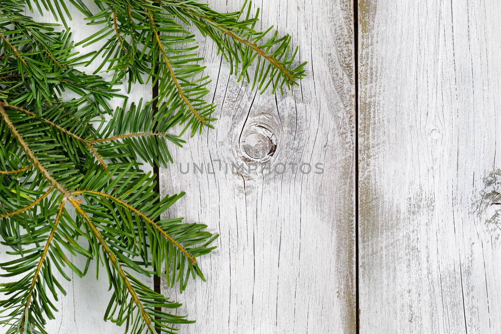 Grand fir branch on rustic white wooden boards by tab1962