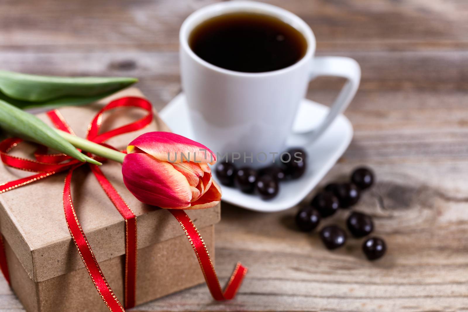 Single cut tulip on gift box with coffee and chocolate on stress by tab1962