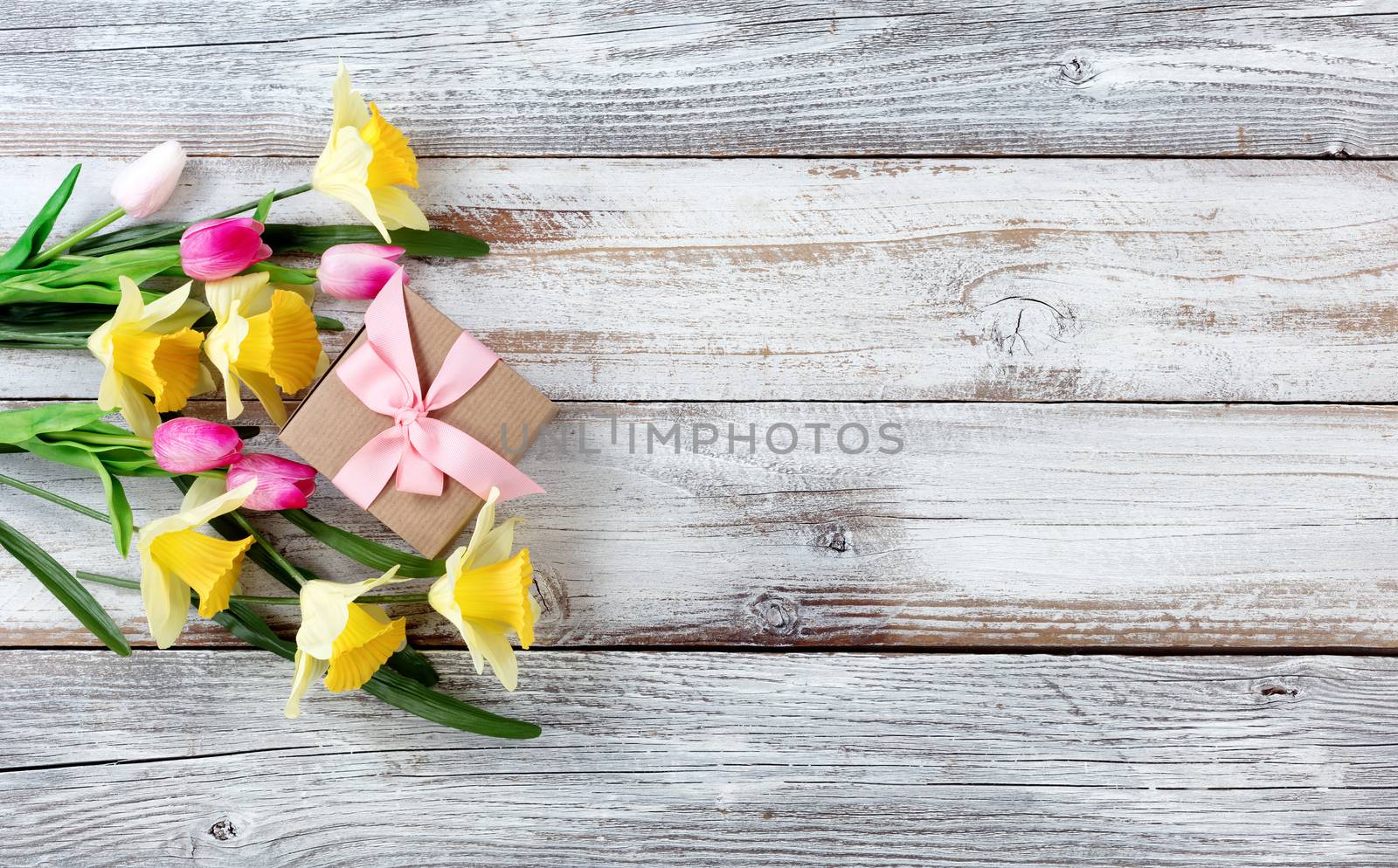 Yellow daffodils and pink tulips with gift box on white weathere by tab1962