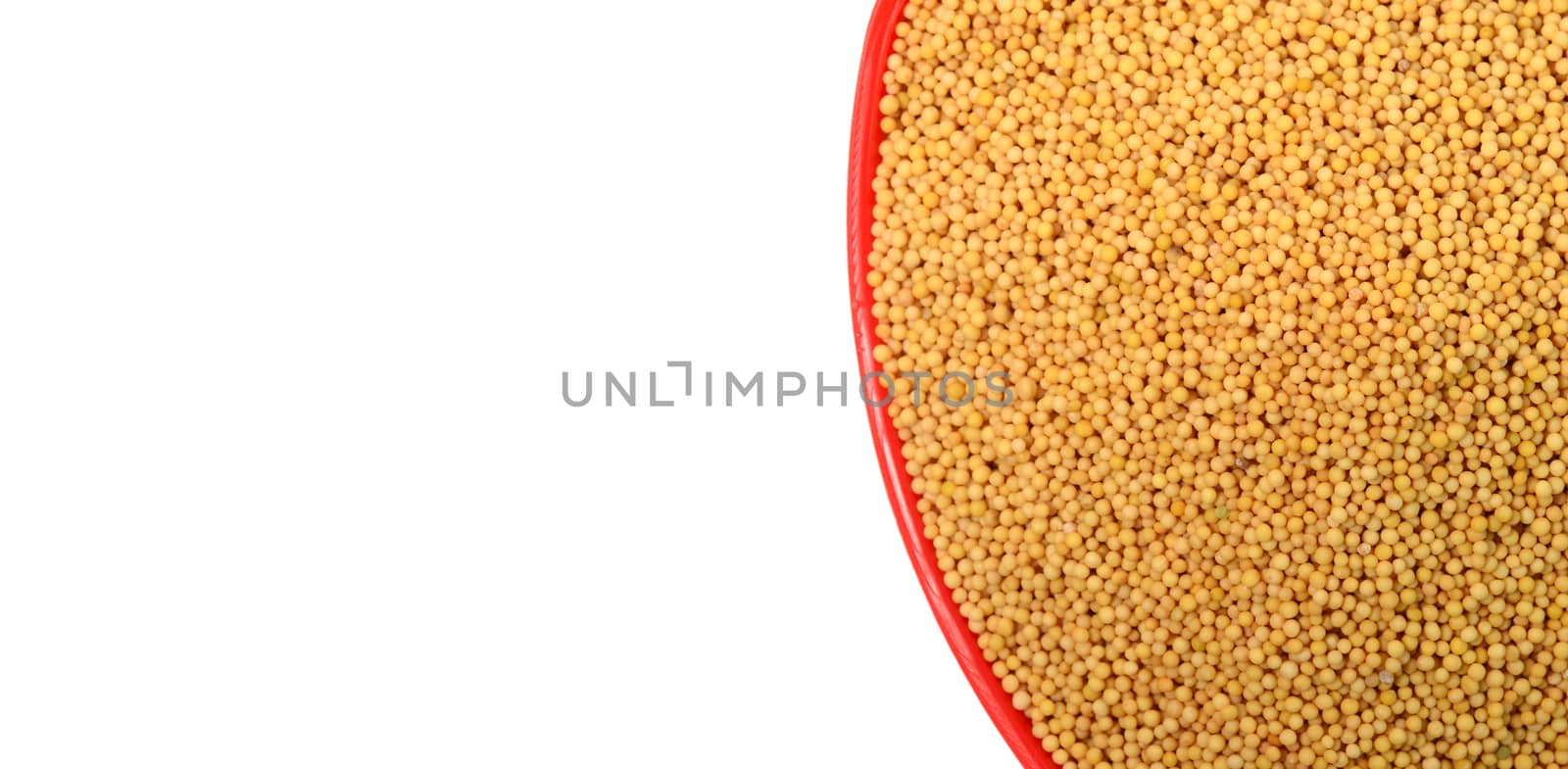 yellow mustard seeds in red bowl isolated on white background