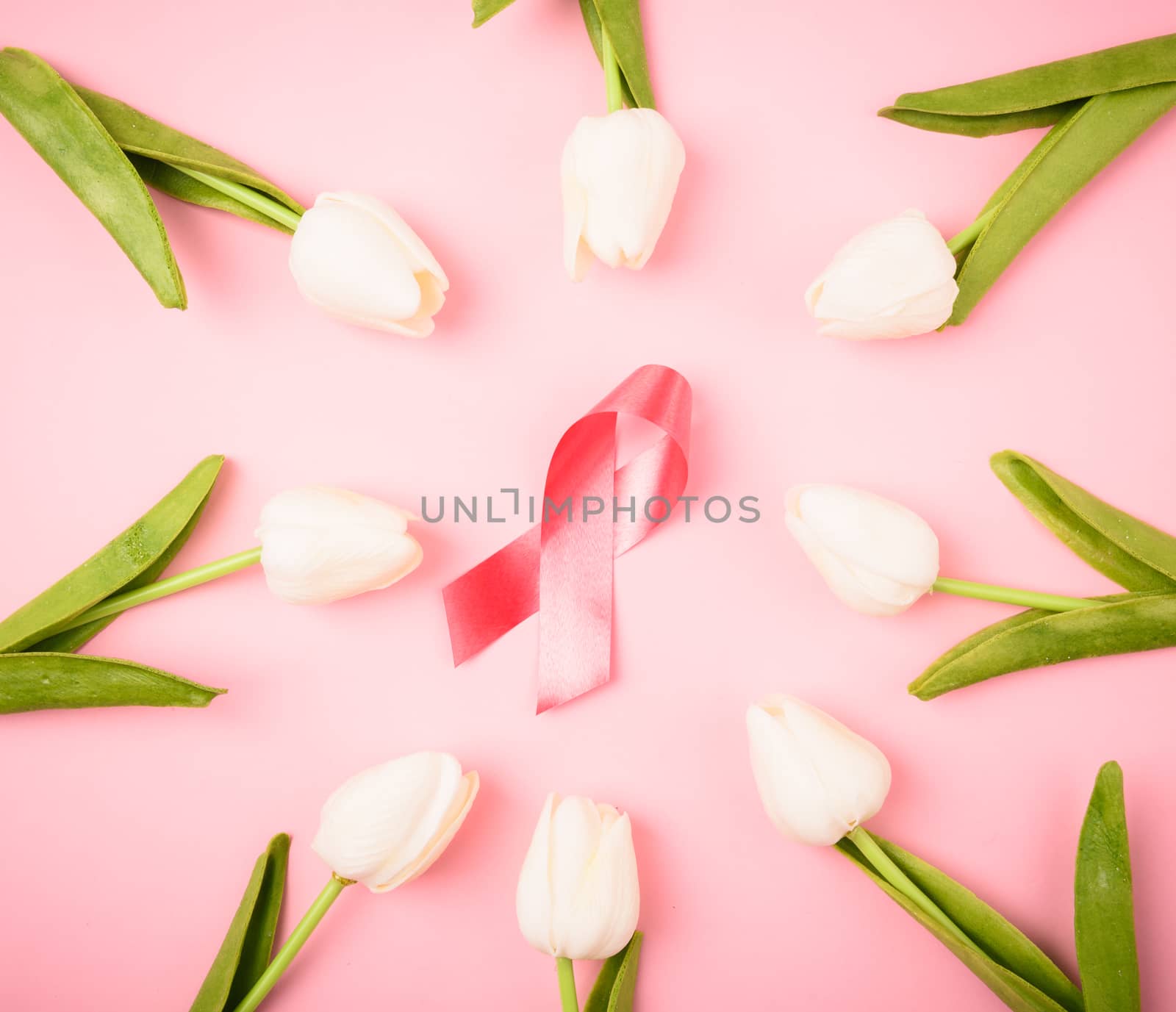 Breast cancer month concept, flat lay top view, pink ribbon and Tulip Flower on pink background with copy space for your text