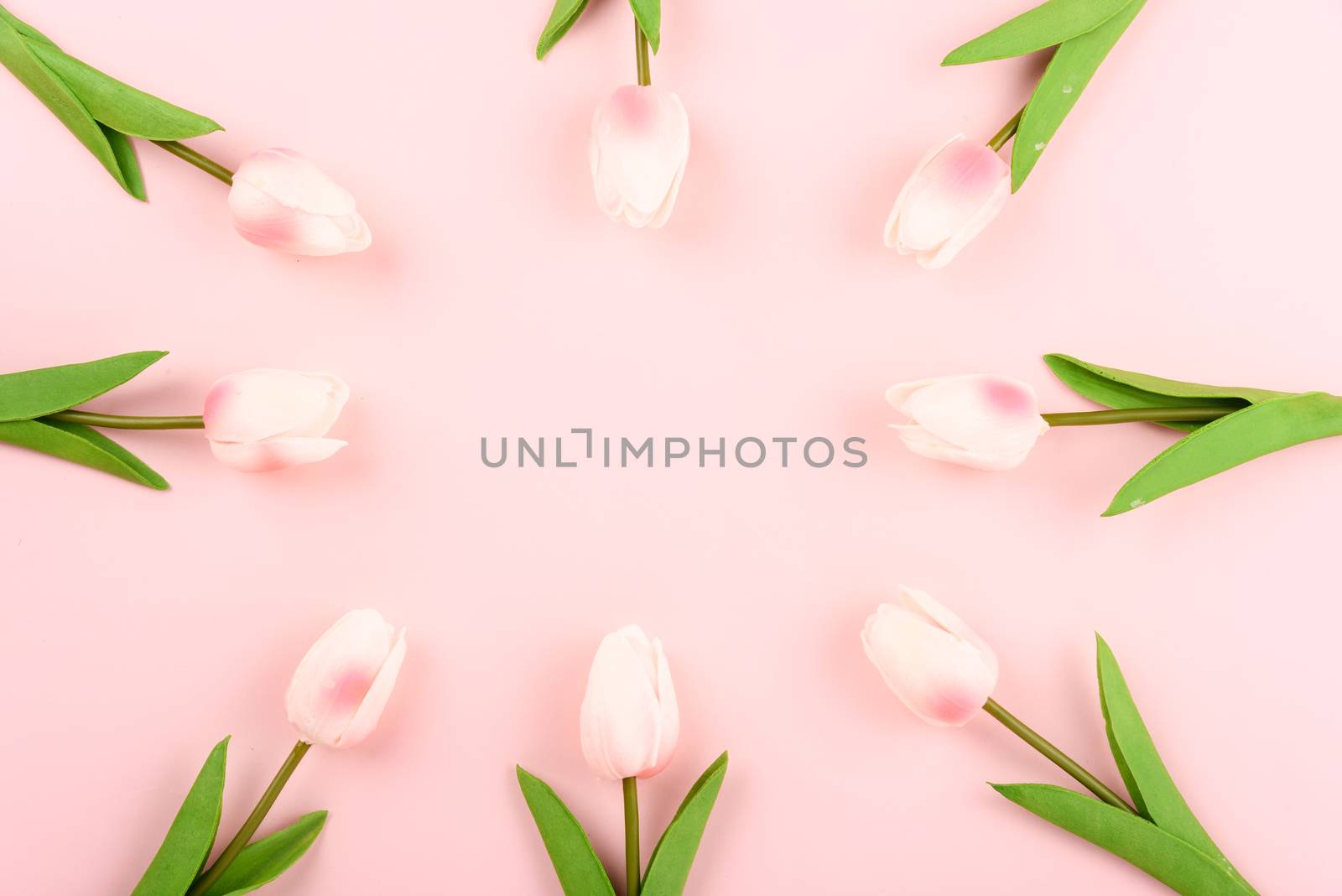 Happy Women's Day, Mother's Day concept. top view flat lay Tulip flower on pink background, copy space for your text