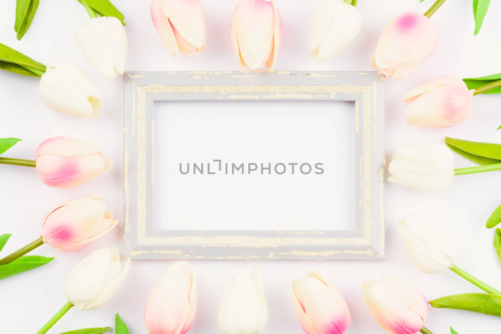 Happy Women's Day, Mother's Day and Valentine's Day concept. top view flat lay Tulip flower and photo frame on white background, copy space for your text