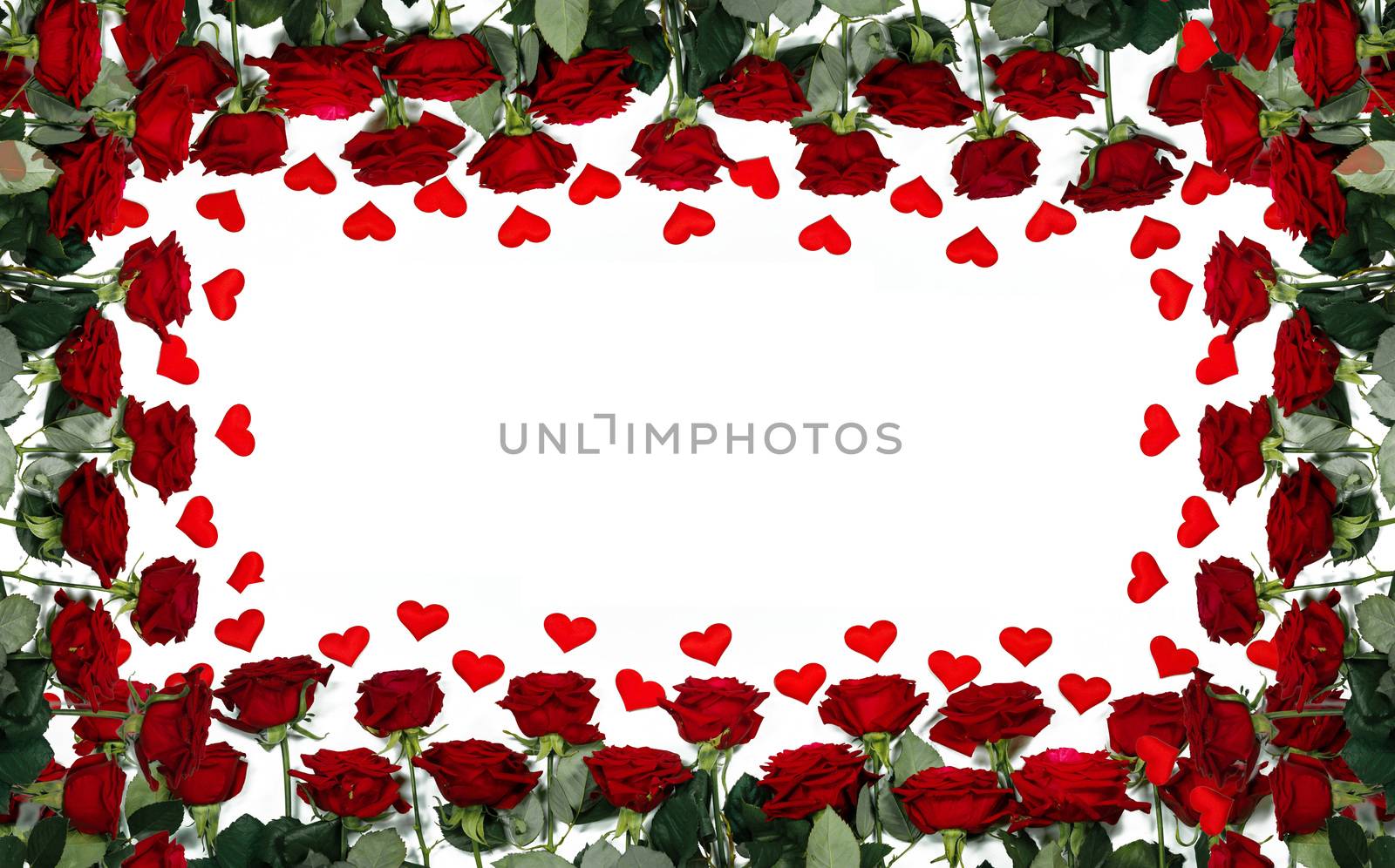 Red roses and the paper hearts border frame isolated on white background, Valentine's Day