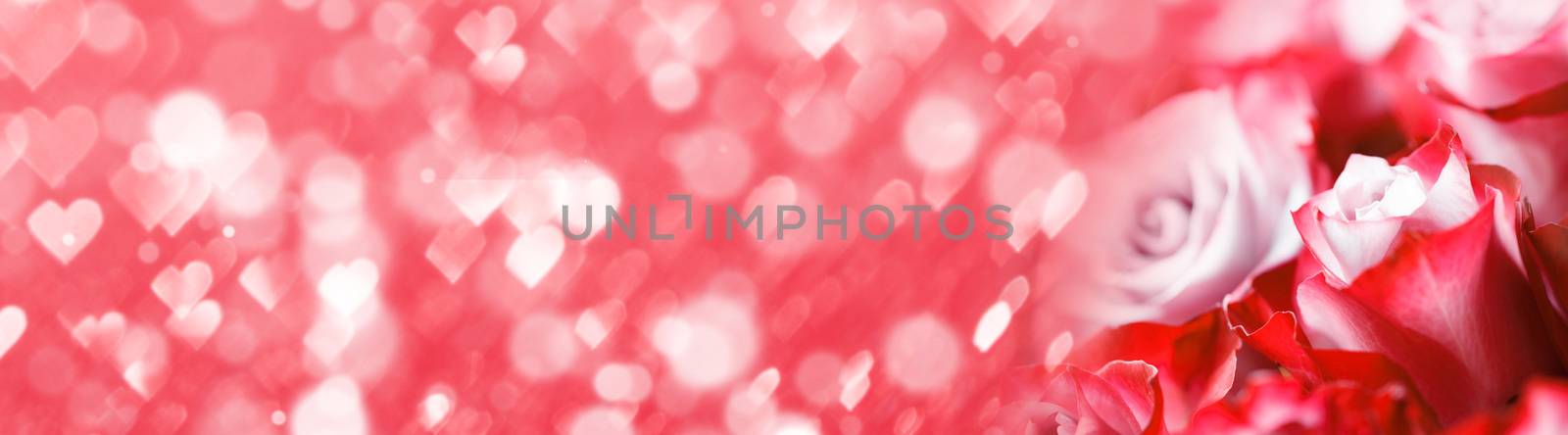 Pink rose flowers background by Yellowj