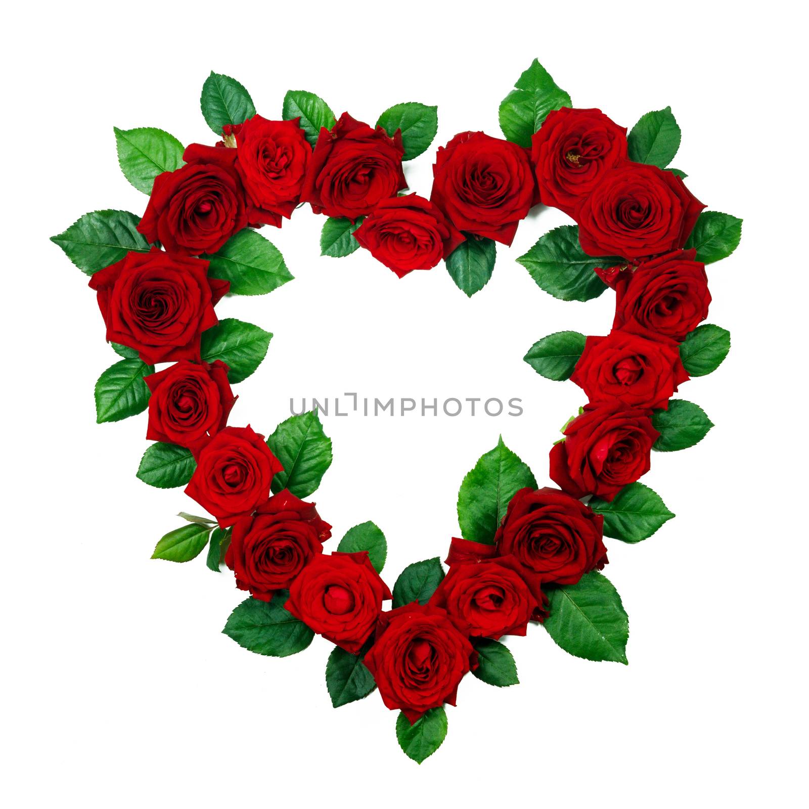 Red roses border frame in heart shape isolated on white background, Valentine's Day