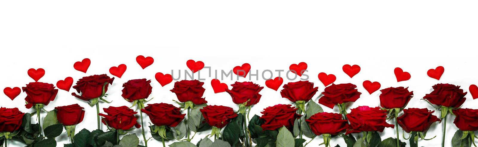 Red roses and the paper hearts border frame isolated on white background, Valentine's Day