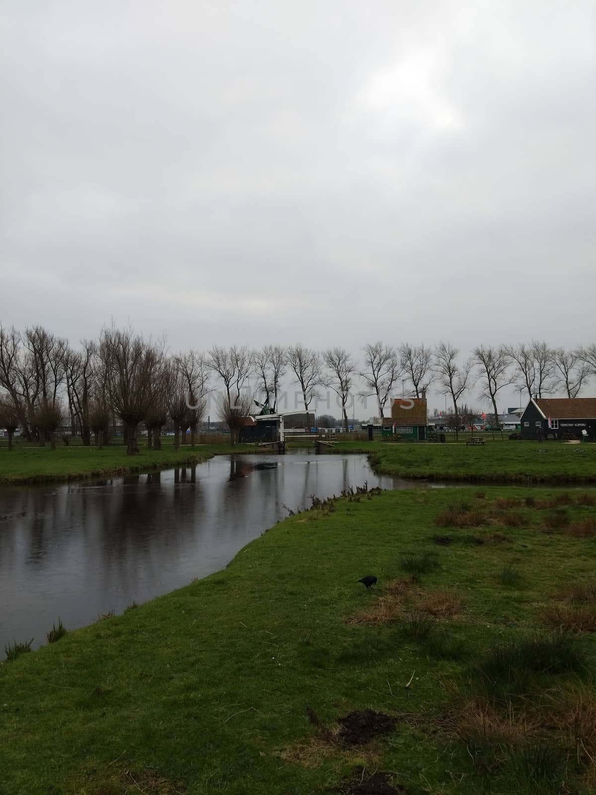 a rural area during winter