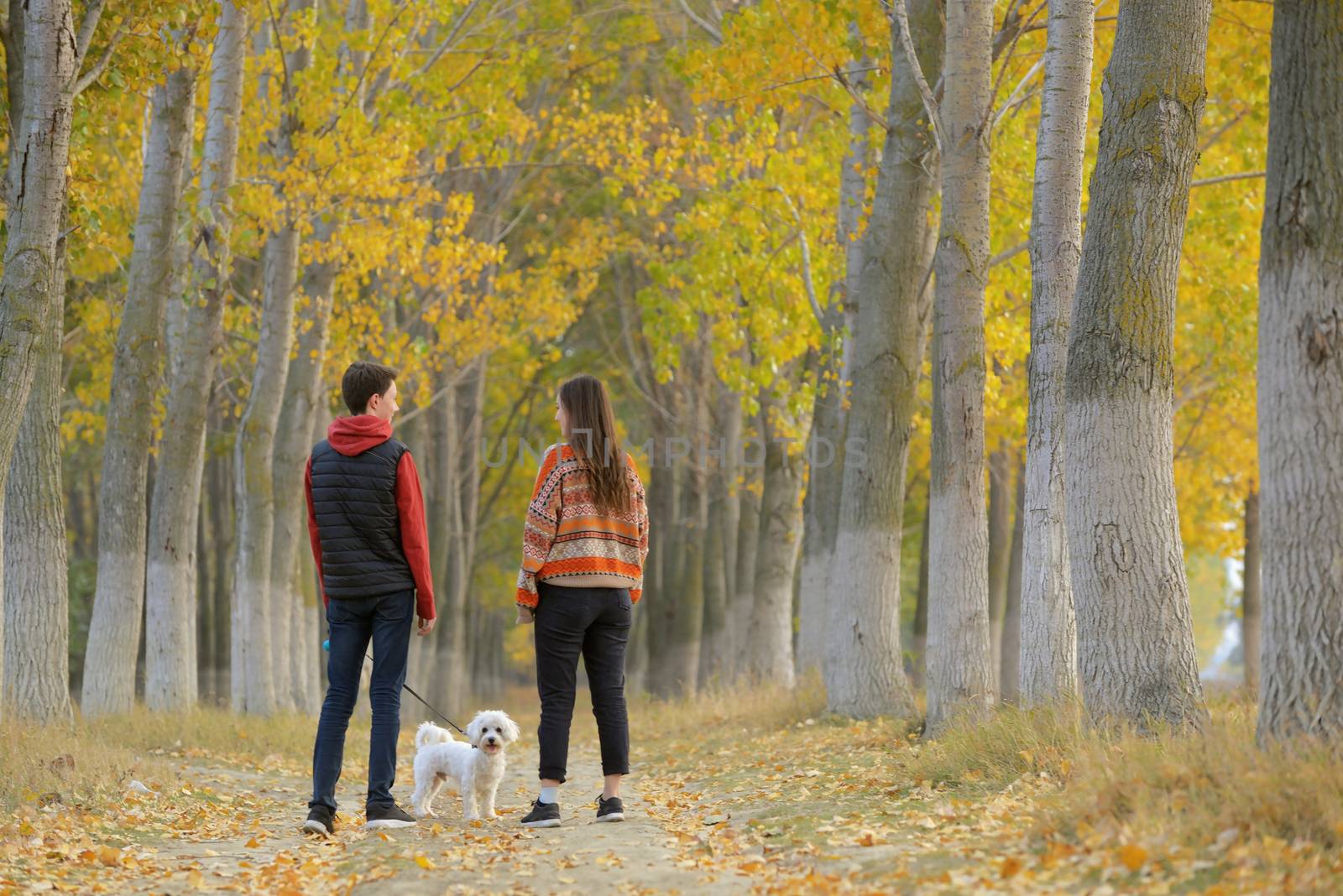 Young boy and girl with maltese dog in autumn forest