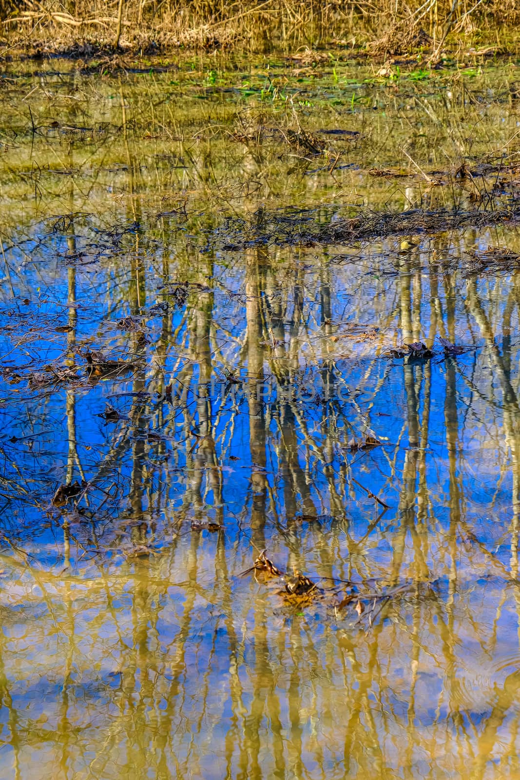 Sky Reflected in Flood Waters after Winter Rain