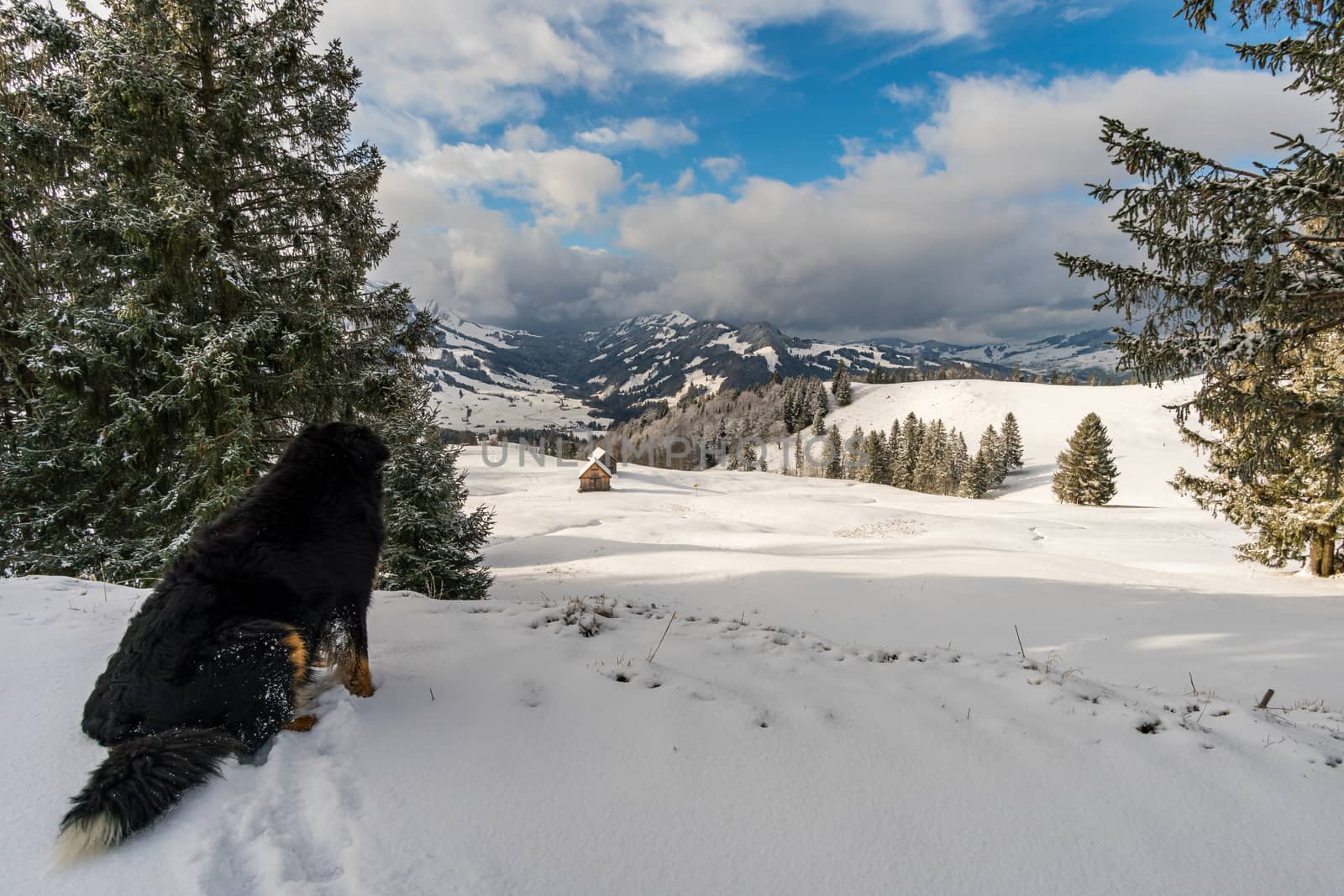 Wonderful winter hike from Restaurant Eggli over the Forstseeli and Diepoldsauer sponge to the Fähnerenspitz in the Appenzeller Land in Switzerland by mindscapephotos