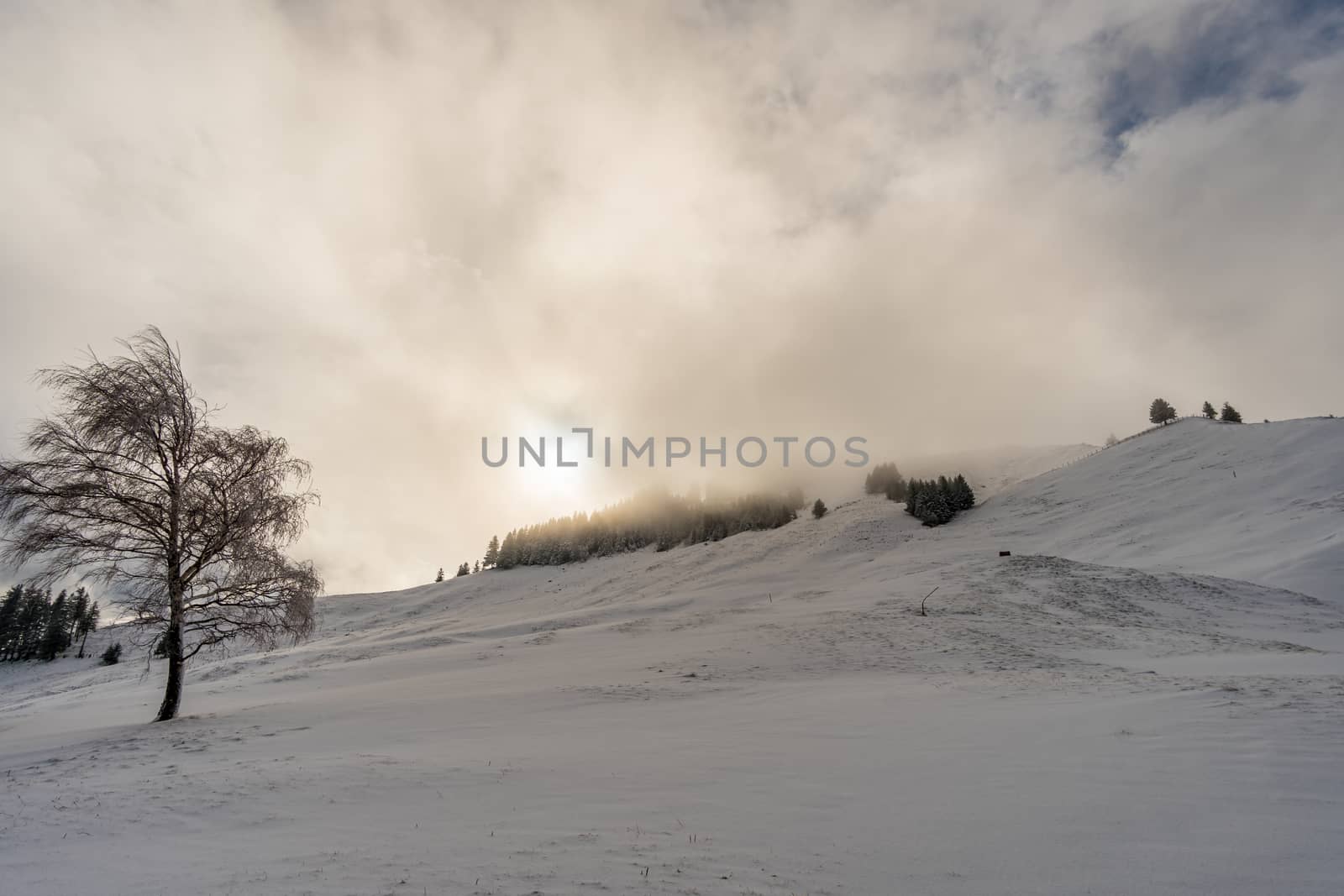 Wonderful winter hike from Restaurant Eggli over the Forstseeli and Diepoldsauer sponge to the Fähnerenspitz in the Appenzeller Land in Switzerland by mindscapephotos