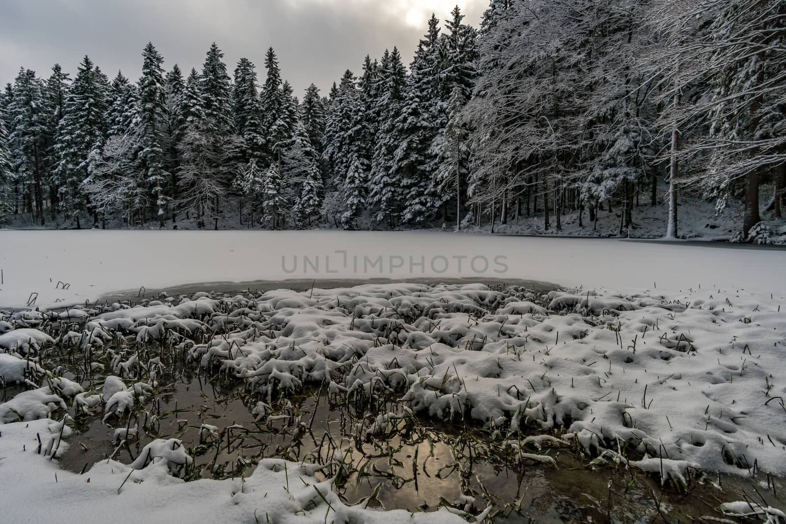 Wonderful winter hike from Restaurant Eggli over the Forstseeli and Diepoldsauer sponge to the Fähnerenspitz in the Appenzeller Land in Switzerland by mindscapephotos