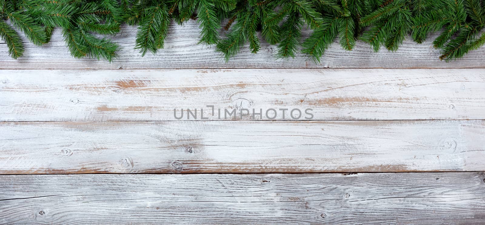 Top border of Christmas evergreen branches on white vintage wood