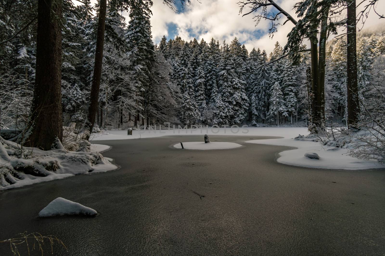 Wonderful winter hike from Restaurant Eggli over the Forstseeli and Diepoldsauer sponge to the Fähnerenspitz in the Appenzeller Land in Switzerland