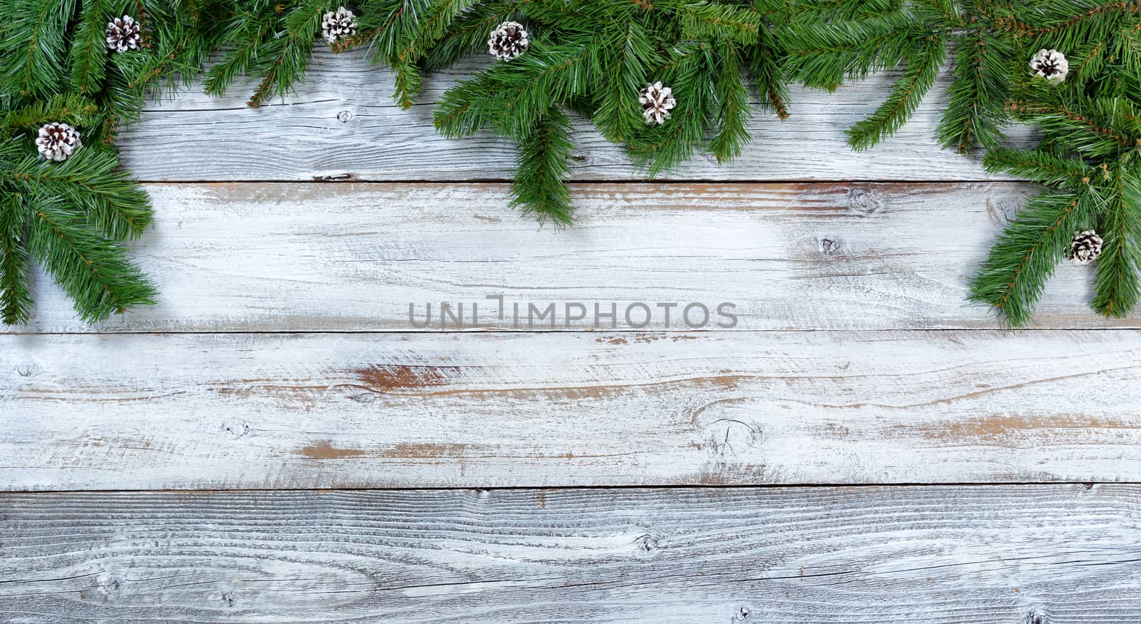 Top border of Christmas fir branches and pine cones on rustic wh by tab1962