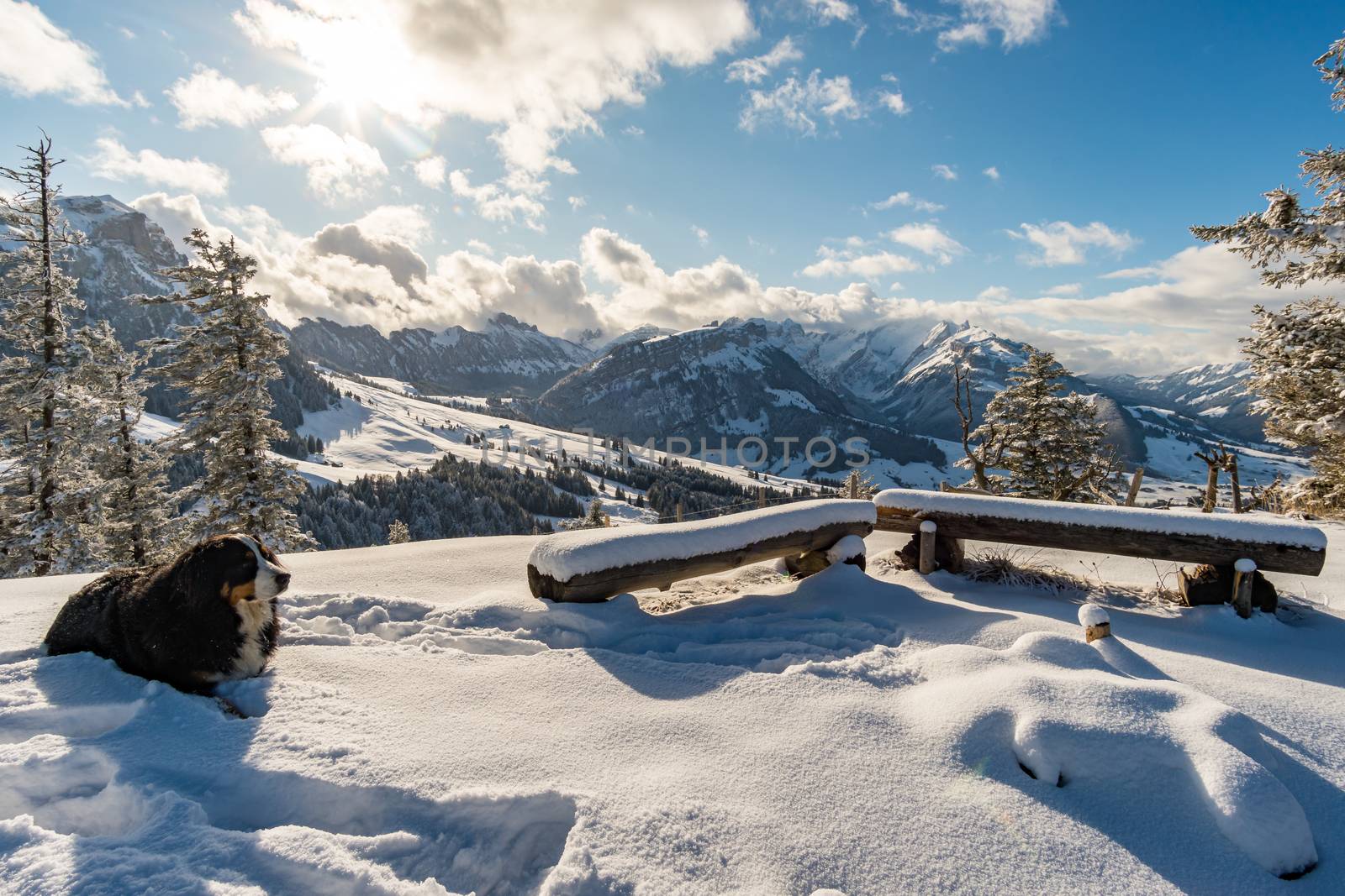 Wonderful winter hike from Restaurant Eggli over the Forstseeli and Diepoldsauer sponge to the Fähnerenspitz in the Appenzeller Land in Switzerland by mindscapephotos