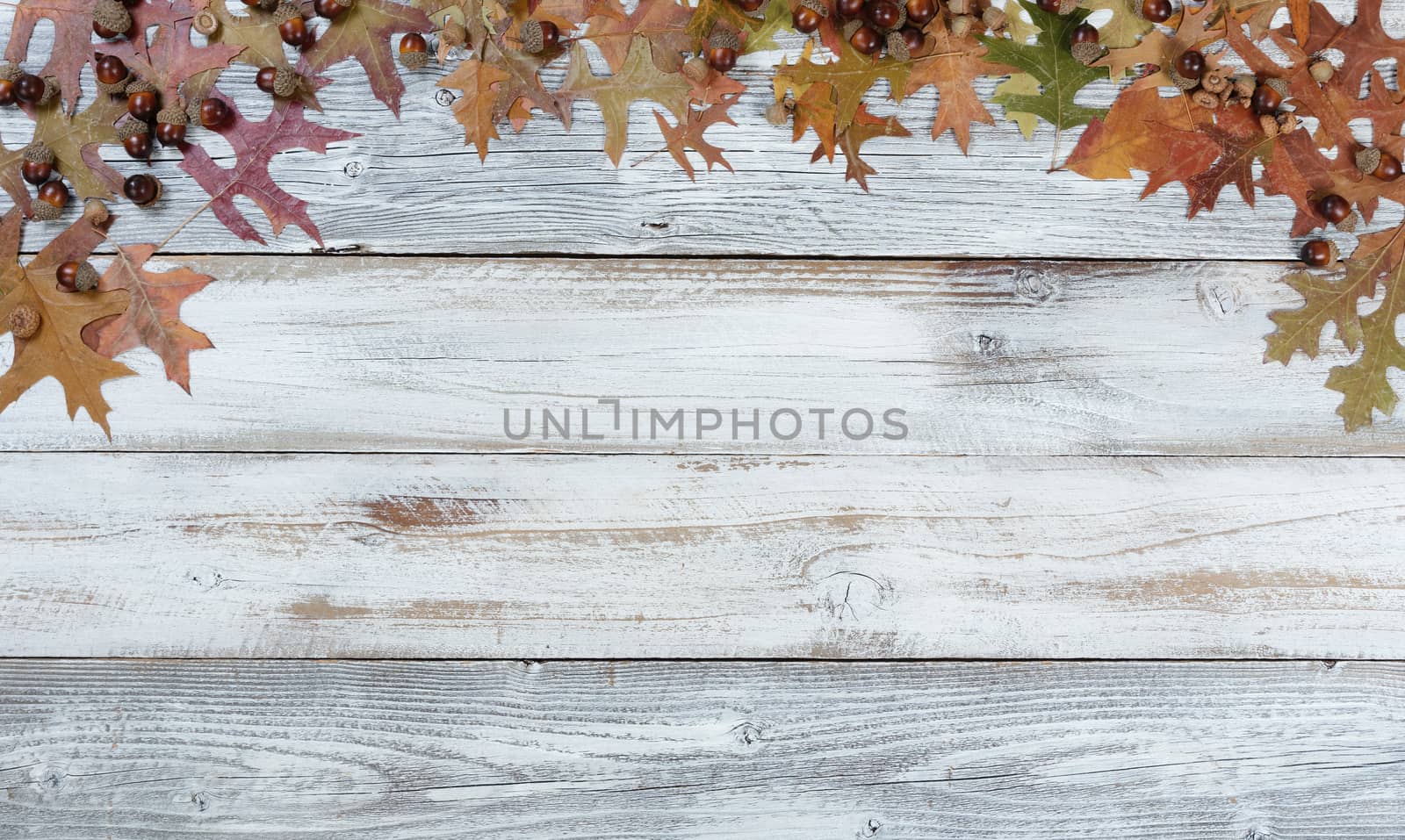 Autumn acorns and faded leaves in top arch border on rustic white wood