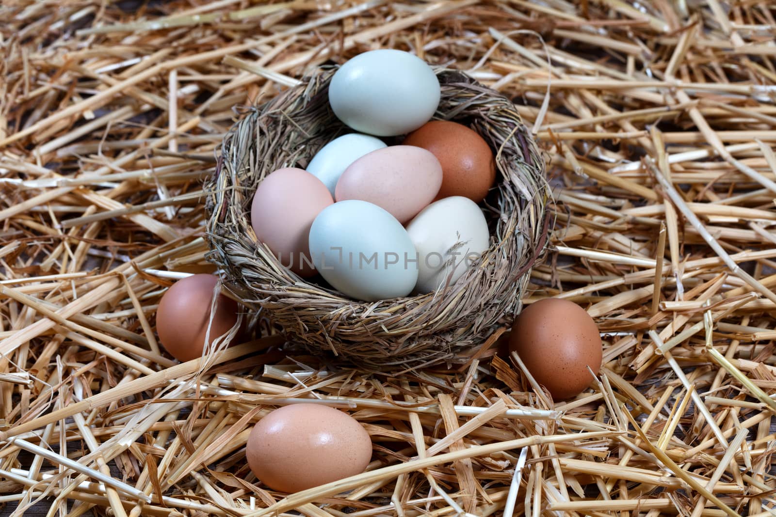 Naturally colorful eggs in bird nest for Easter holiday backgrou by tab1962
