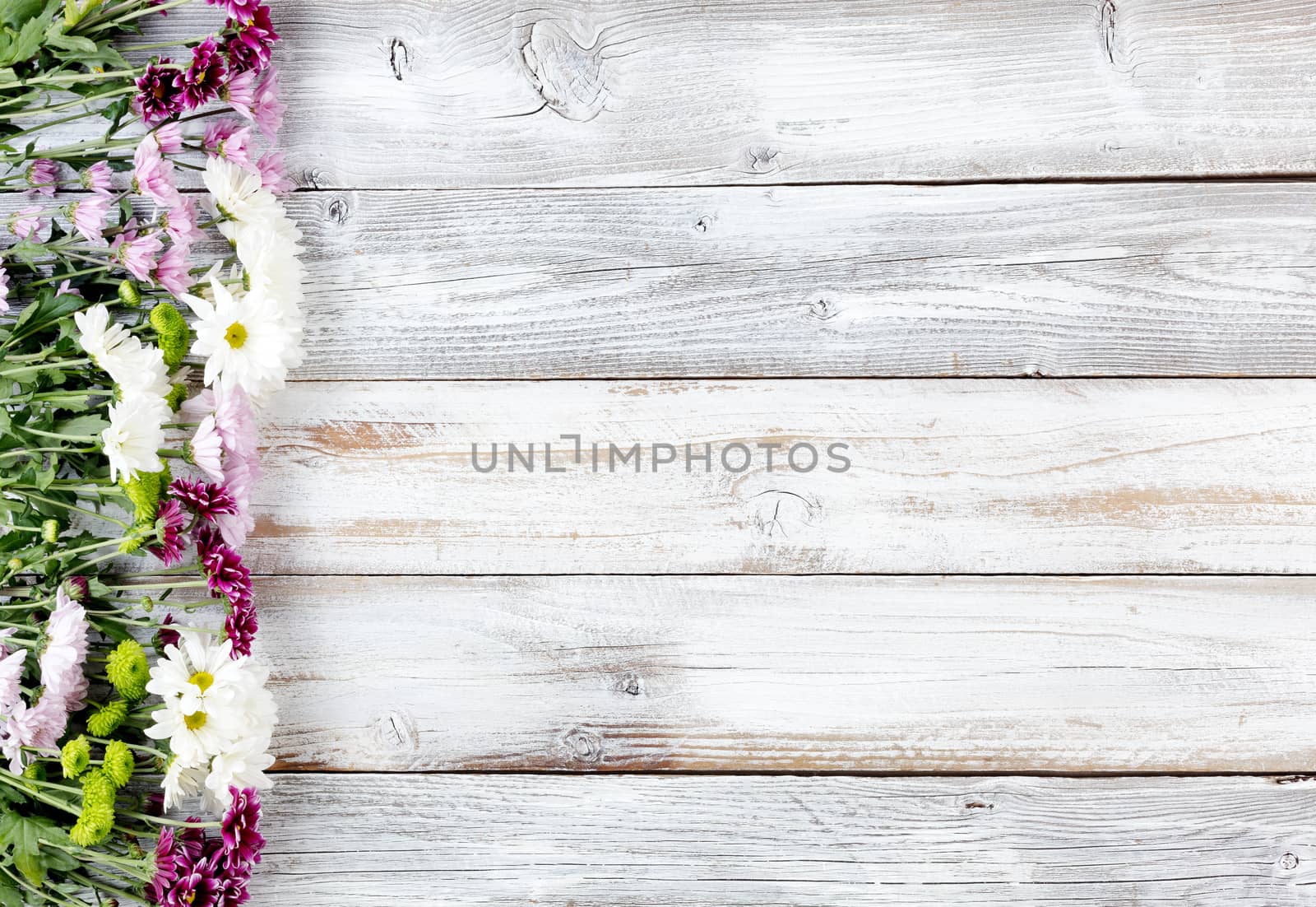 Colorful mixed flowers forming left border on white weathered wooden boards 