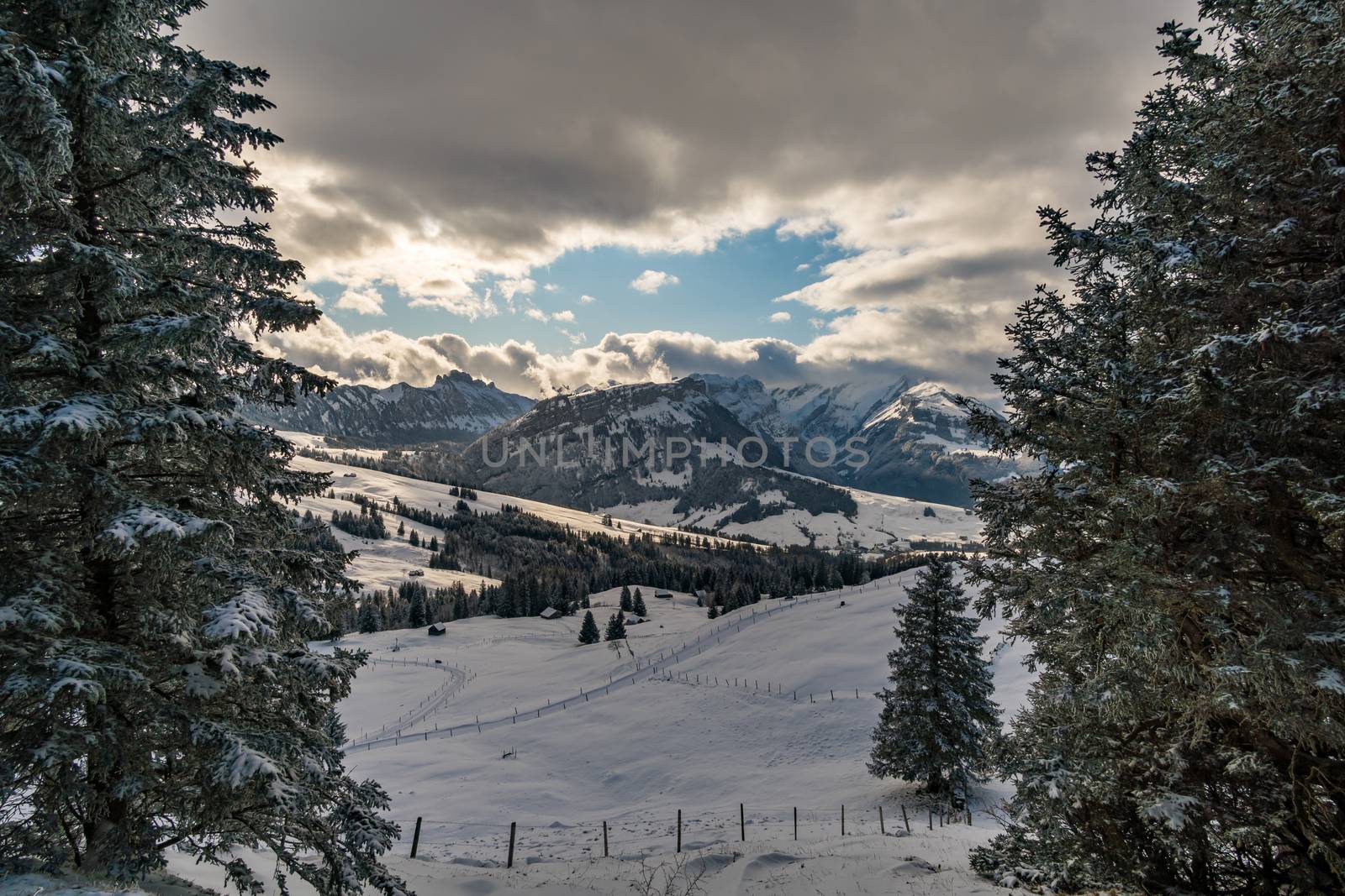 Wonderful winter hike from Restaurant Eggli over the Forstseeli and Diepoldsauer sponge to the Fähnerenspitz in the Appenzeller Land in Switzerland by mindscapephotos