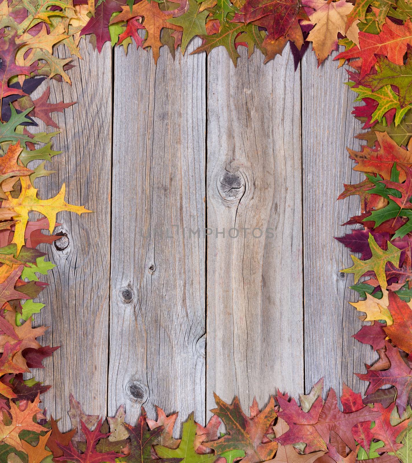 Early autumn leaves on rustic wooden boards by tab1962