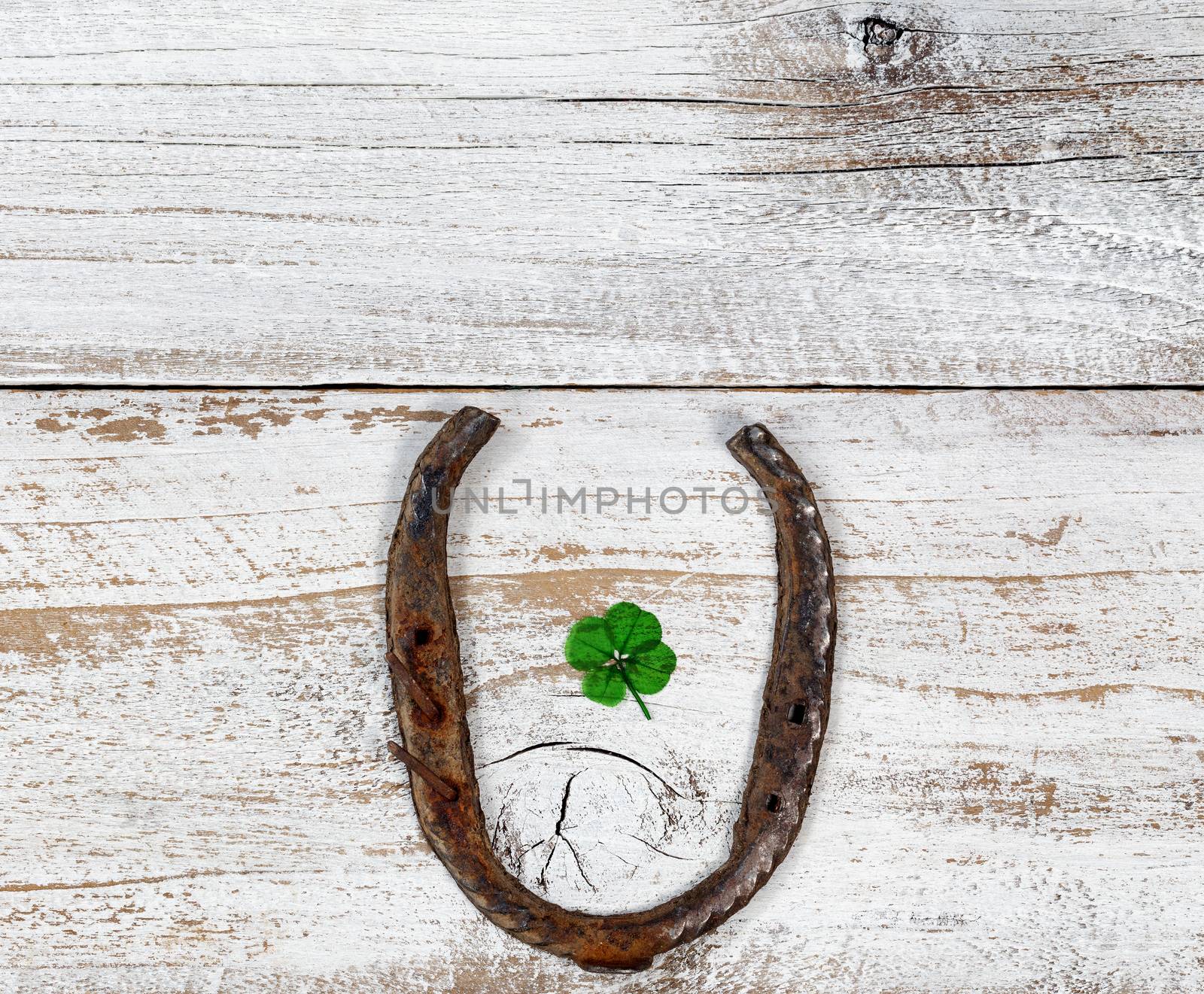 Real four leaf clover in the middle of rusty horseshoe on rustic wooden boards in overhead view  