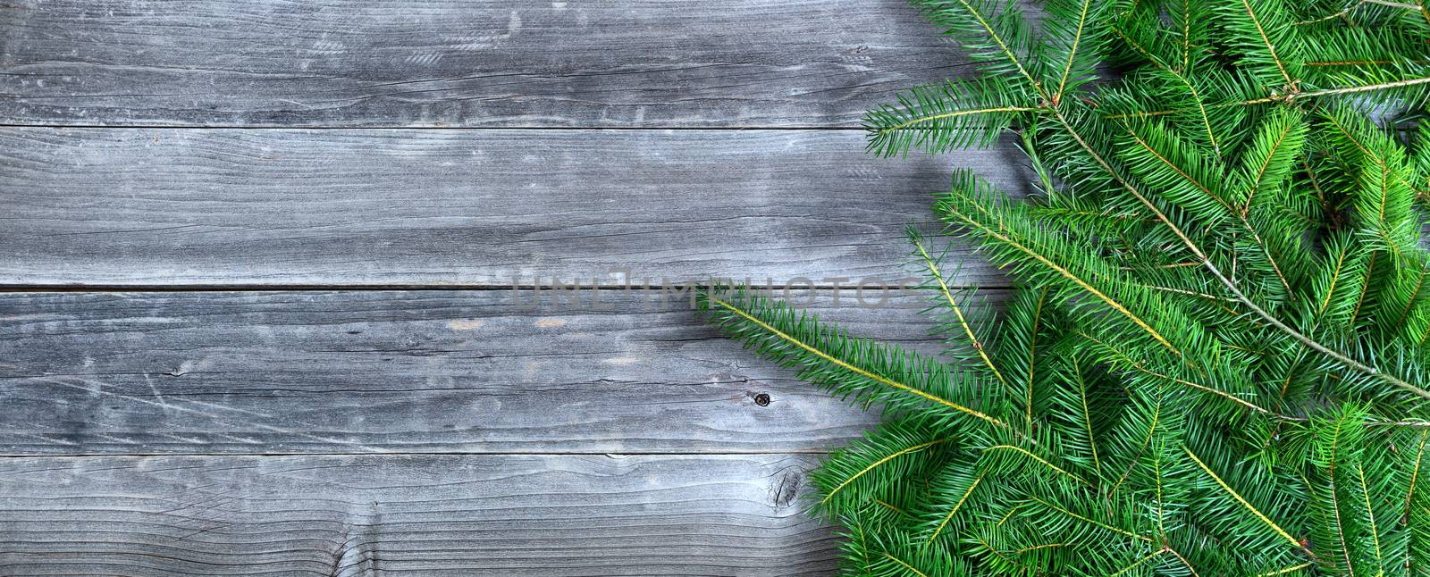 Christmas branches on weathered wood with copy space available 