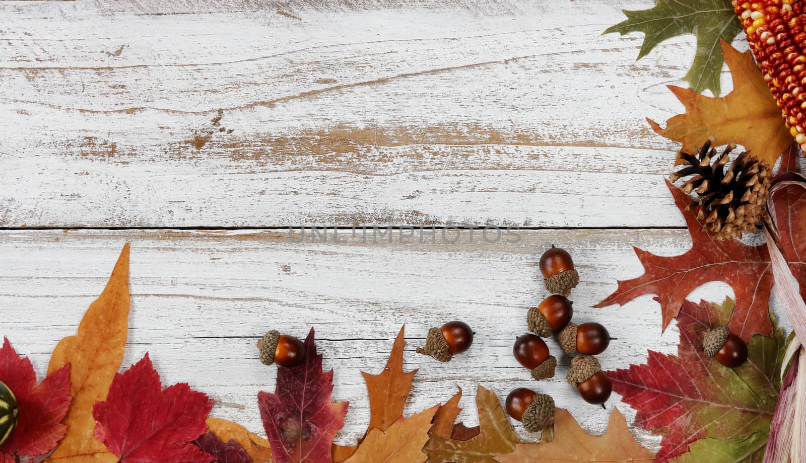 Right and bottom side borders of autumn decorations on white rus by tab1962