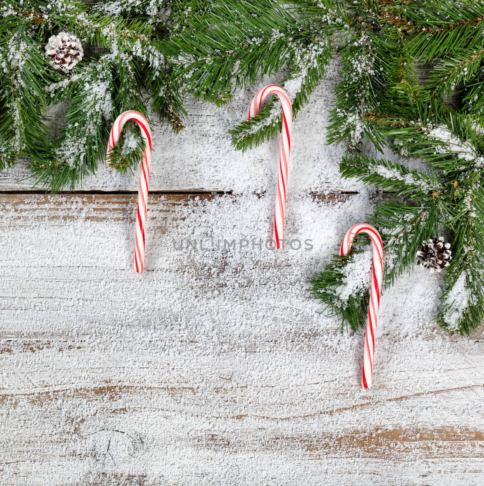 Snowy Christmas fir branches and candy canes on rustic wood in flat lay format