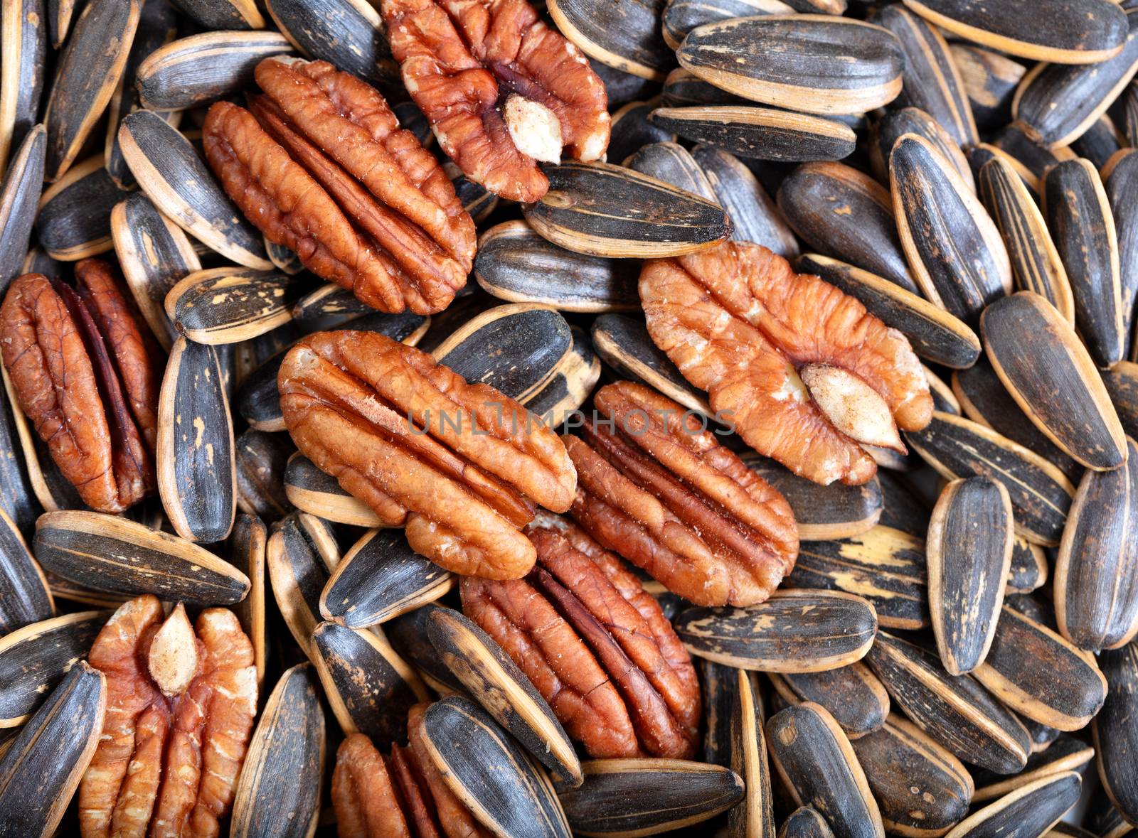 Unopened sunflower seeds and pecan nuts in filled frame format  by tab1962