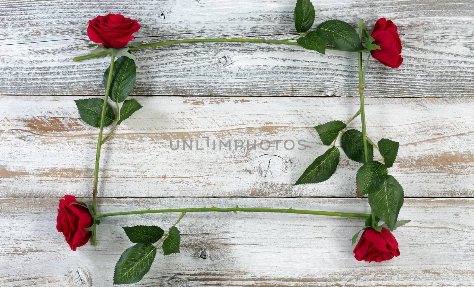 Square outline made of red roses on white rustic wooden backgrou by tab1962