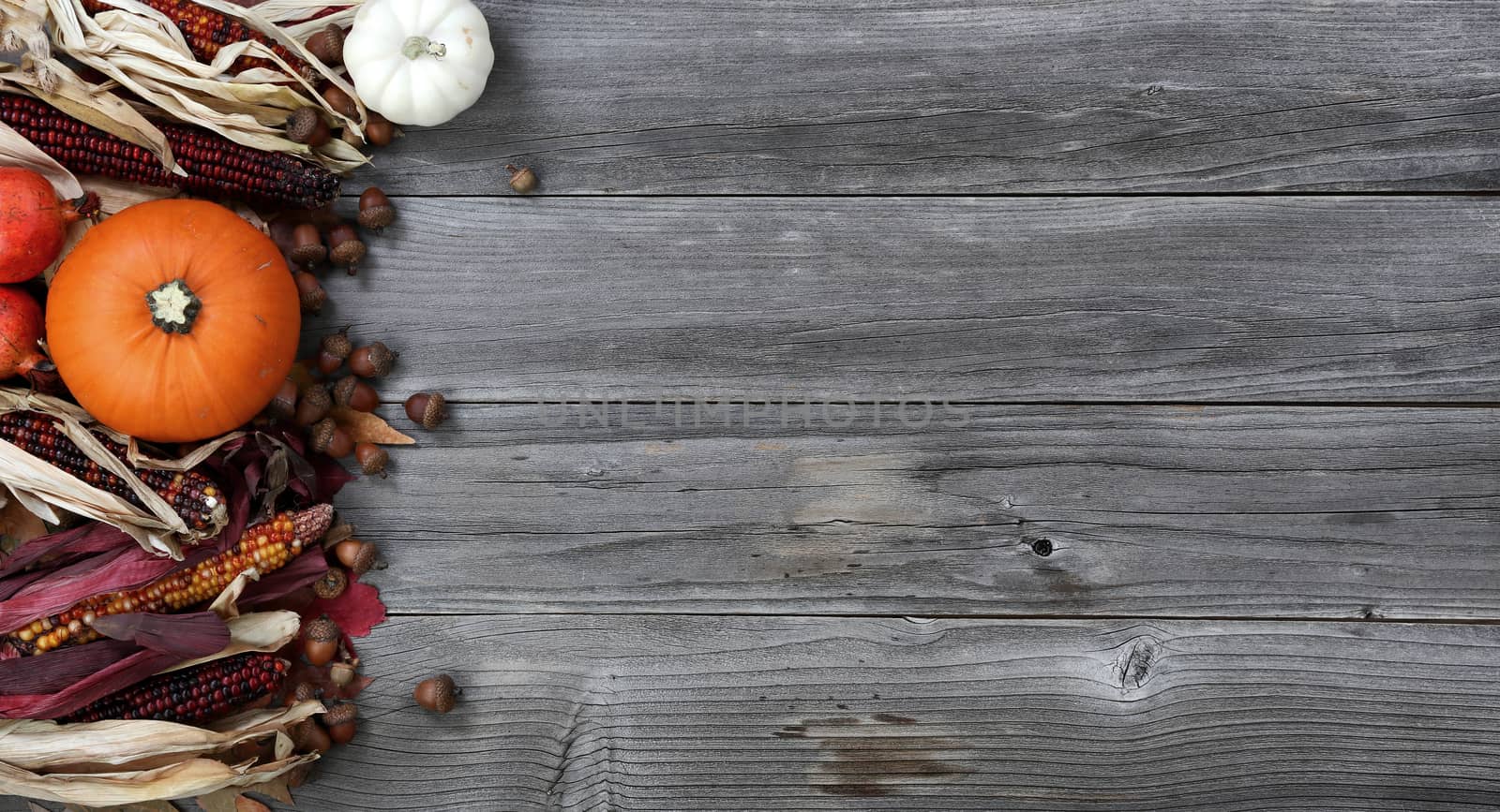 Pumpkin, gourd, leaves, corn and acorns on left border of weathered wood for the Autumn holiday season