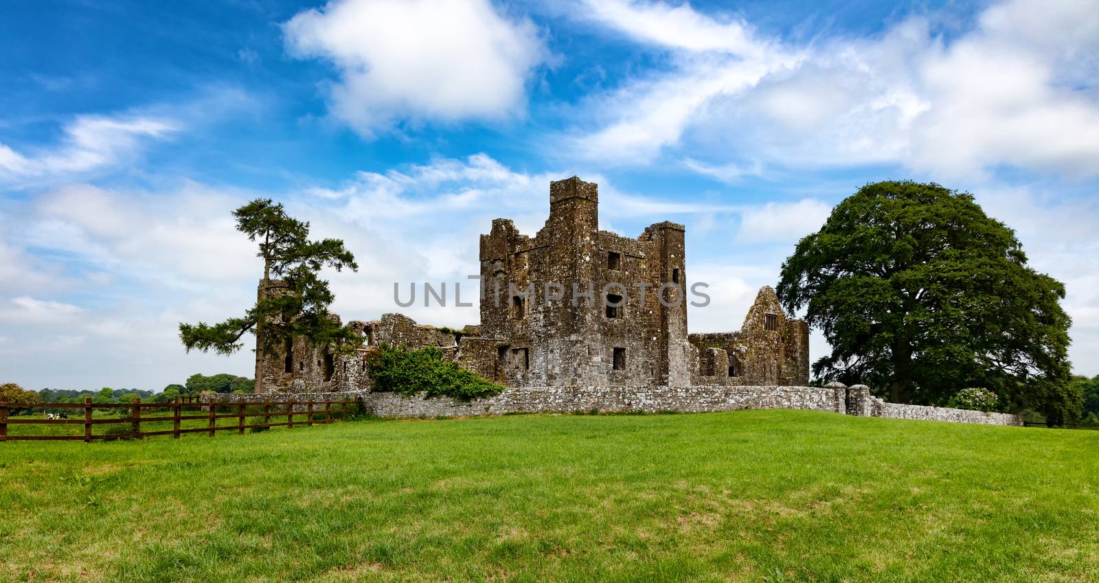 Old castle in farm field of Ireland 