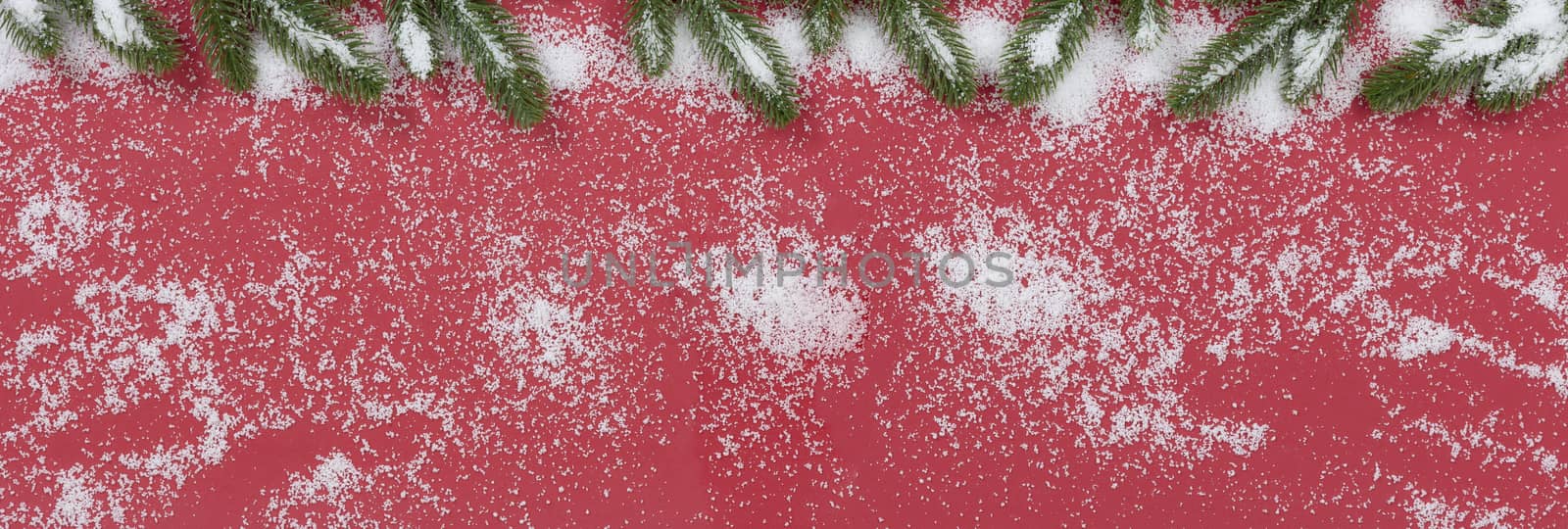 Seasonal Christmas fir tips covered with snow on red background 