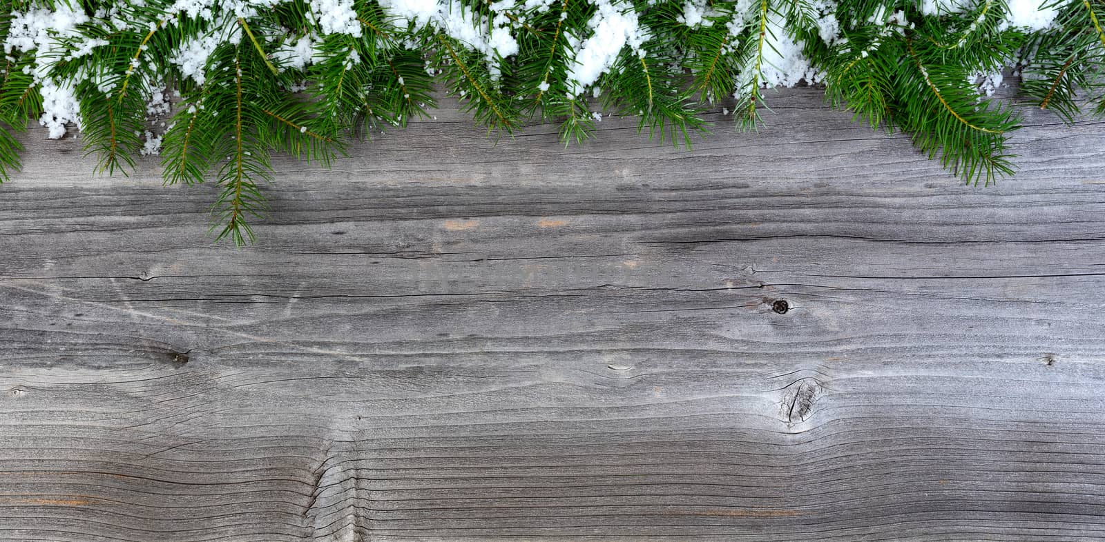 Overhead view of snow covered fir Christmas tree branches on wea by tab1962