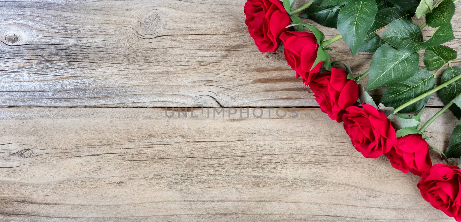 Traditional red roses on weathered wood for the holiday season by tab1962