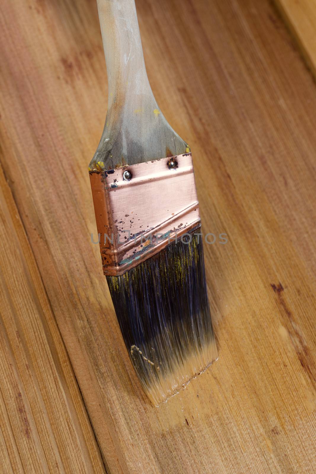 Applying stain by brush on natural cedar wood  by tab1962